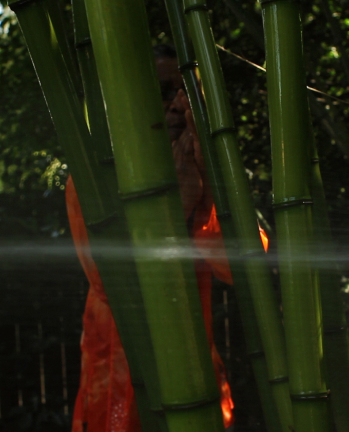 Eugene in bamboo grove